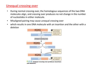 Unequal crossing over 
• During normal crossing over, the homologous sequences of the two DNA 
molecules align, and crossing over produces no net change in the number 
of nucleotides in either molecule. 
• Misaligned pairing may cause unequal crossing over 
• which results in one DNA molecule with an insertion and the other with a 
deletion 
 