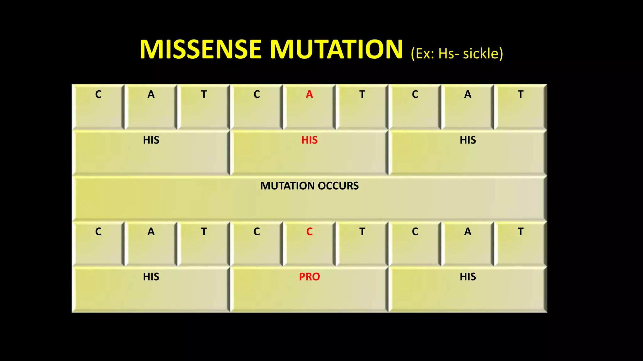 Mutations types and causes | PPTX