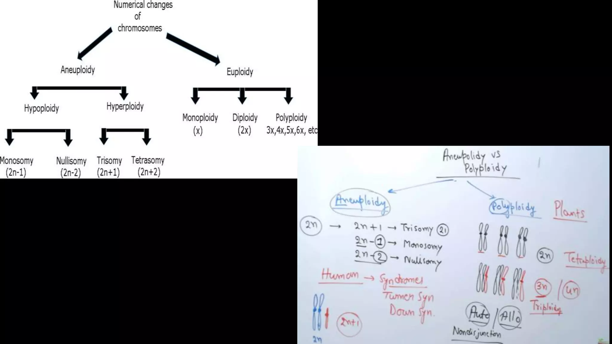 Mutations types and causes | PPTX