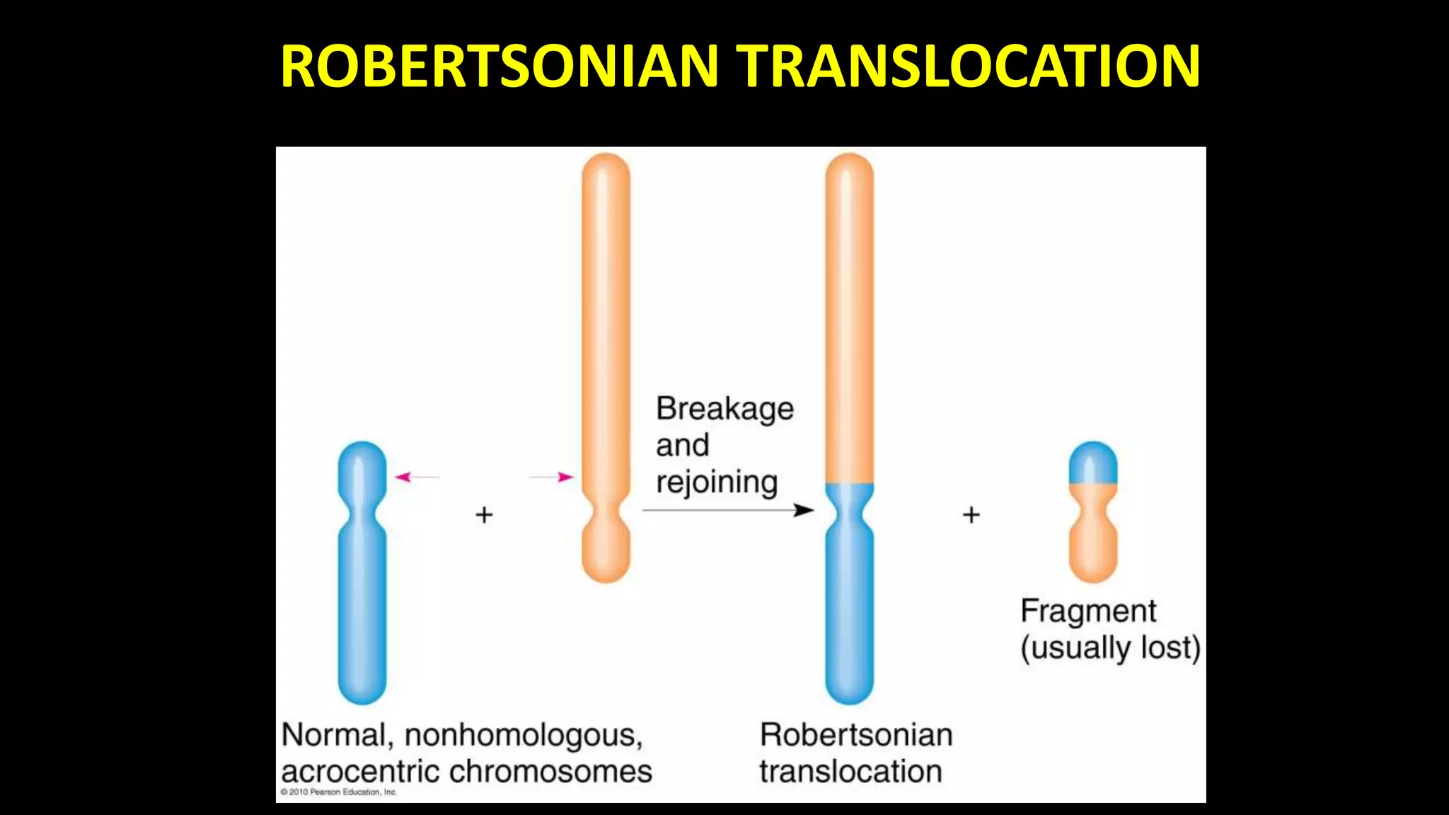 Mutations types and causes | PPTX