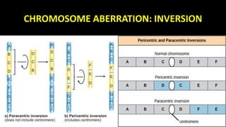 Mutations types and causes | PPTX