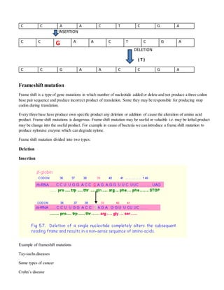 C C A A C T C G A
INSERTION
C C
G A A C T C G A
DELETION
( T )
C C G A A C C G A
Frameshift mutation
Frame shift is a type of gene mutations in which number of nucleotide added or delete and not produce a three codon
base pair sequence and produce incorrect product of translation. Some they may be responsible for producing stop
codon during translation.
Every three base have produce own specific product any deletion or addition of cause the alteration of amino acid
product. Frame shift mutations is dangerous. Frame shift mutation may be useful or valuable i.e. may be lethal product
may be change into the useful product. For example in cause of bacteria we can introduce a frame shift mutation to
produce nylonase enzyme which can degrade nylone.
Frame shift mutation divided into two types:
Deletion
Insertion
Example of frameshift mutations
Tay-sachs diseases
Some types of cancer
Crohn’s disease
 