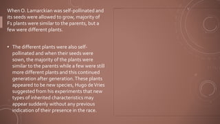 When O. Lamarckian was self-pollinated and
its seeds were allowed to grow, majority of
F1 plants were similar to the parents, but a
few were different plants.
• The different plants were also self-
pollinated and when their seeds were
sown, the majority of the plants were
similar to the parents while a few were still
more different plants and this continued
generation after generation.These plants
appeared to be new species, Hugo deVries
suggested from his experiments that new
types of inherited characteristics may
appear suddenly without any previous
indication of their presence in the race.
 