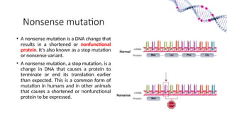 Mutation and its types (Point, Silent, Mis sense and Non sense ...