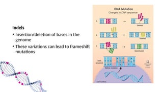 Sense Mutation Examples Mutation and its types (Point, Silent, Mis sense and Non sense ...
