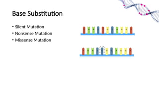 Same Sense Mutation Example Mutation and its types (Point, Silent, Mis sense and Non sense ...