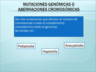 Son las mutaciones que afectan al número de cromosomas o todo el complemento cromosómico (todo el genoma). Se dividen en:  Poliploidía Aneuploidía Haploidía 