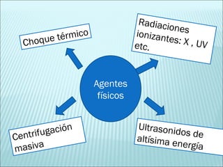 Agentes físicos Radiaciones ionizantes: X , UV etc. Choque térmico Ultrasonidos de altísima energía Centrifugación masiva 