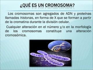 Los cromosomas son agregados de ADN y proteínas llamadas   histonas , en forma de X que se forman a partir de la cromatina durante la división celular. Cualquier alteración en el número y/o en la morfología de los cromosomas constituye una alteración cromosómica. 