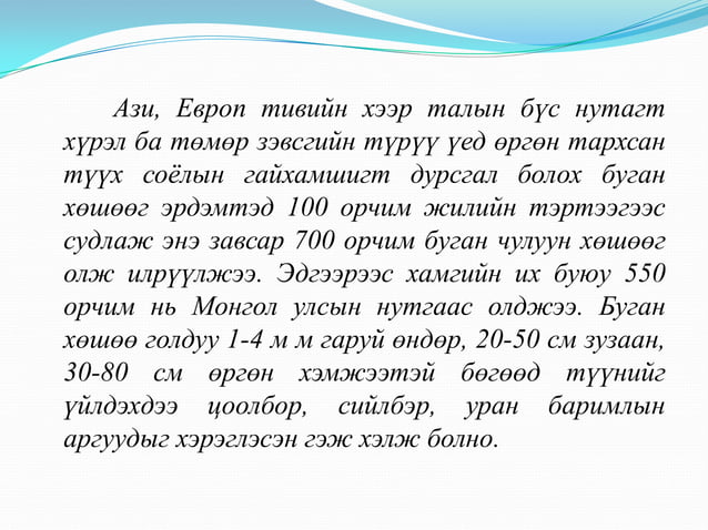 Монголын түүх "Дөрвөлжин булш, буган чулуун хөшөө" | PPT
