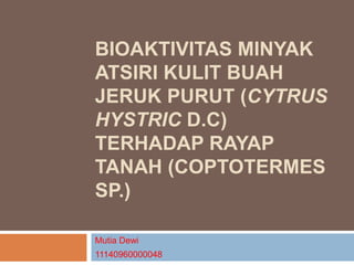 BIOAKTIVITAS MINYAK
ATSIRI KULIT BUAH
JERUK PURUT (CYTRUS
HYSTRIC D.C)
TERHADAP RAYAP
TANAH (COPTOTERMES
SP.)
Mutia Dewi
11140960000048
 