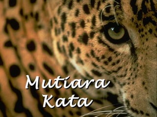 MutiaraMutiara
KataKata
 