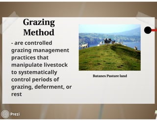 Selection of Grazing Method | PDF