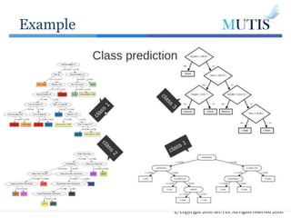 Example
© Copyright 2016 MUTIS. All rights reserved 2016.
 