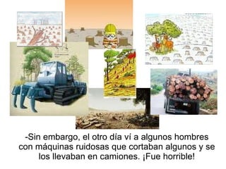-Sin embargo, el otro día ví a algunos hombres con máquinas ruidosas que cortaban algunos y se los llevaban en camiones. ¡Fue horrible! 