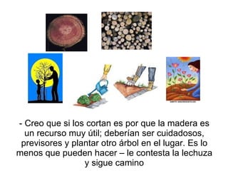 - Creo que si los cortan es por que la madera es un recurso muy útil; deberían ser cuidadosos, previsores y plantar otro árbol en el lugar. Es lo menos que pueden hacer – le contesta la lechuza y sigue camino 
