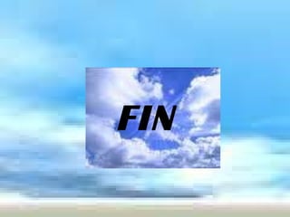 FIN 