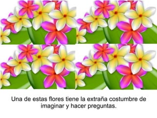 Una de estas flores tiene la extraña costumbre de imaginar y hacer preguntas. 
