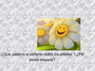 ¿Qué  pasaría si cortaran todos los árboles ? ¿Por dónde treparía?   