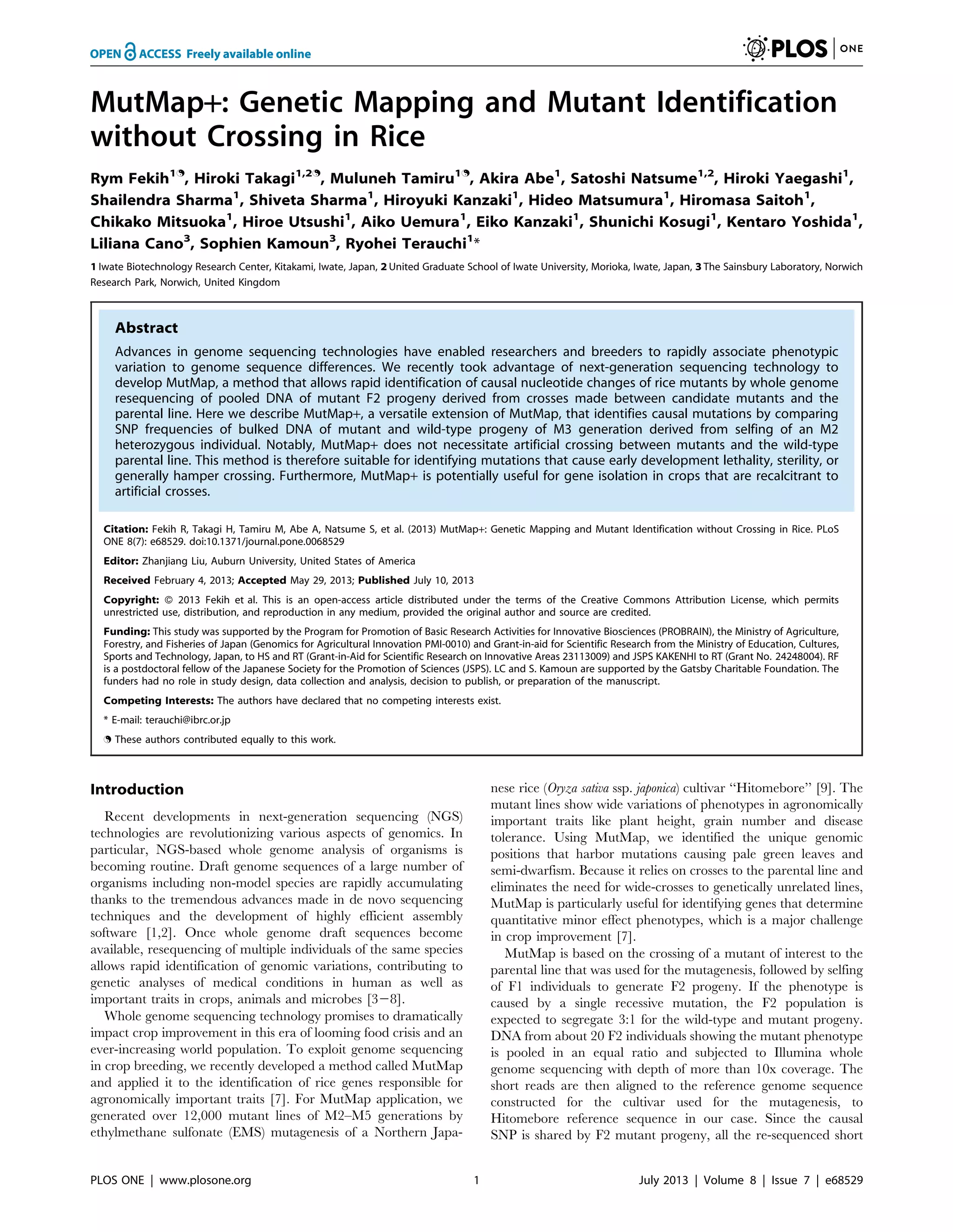 MutMap+: Genetic Mapping and Mutant Identification
without Crossing in Rice
Rym Fekih1.
, Hiroki Takagi1,2.
, Muluneh Tamiru1.
, Akira Abe1
, Satoshi Natsume1,2
, Hiroki Yaegashi1
,
Shailendra Sharma1
, Shiveta Sharma1
, Hiroyuki Kanzaki1
, Hideo Matsumura1
, Hiromasa Saitoh1
,
Chikako Mitsuoka1
, Hiroe Utsushi1
, Aiko Uemura1
, Eiko Kanzaki1
, Shunichi Kosugi1
, Kentaro Yoshida1
,
Liliana Cano3
, Sophien Kamoun3
, Ryohei Terauchi1
*
1 Iwate Biotechnology Research Center, Kitakami, Iwate, Japan, 2 United Graduate School of Iwate University, Morioka, Iwate, Japan, 3 The Sainsbury Laboratory, Norwich
Research Park, Norwich, United Kingdom
Abstract
Advances in genome sequencing technologies have enabled researchers and breeders to rapidly associate phenotypic
variation to genome sequence differences. We recently took advantage of next-generation sequencing technology to
develop MutMap, a method that allows rapid identification of causal nucleotide changes of rice mutants by whole genome
resequencing of pooled DNA of mutant F2 progeny derived from crosses made between candidate mutants and the
parental line. Here we describe MutMap+, a versatile extension of MutMap, that identifies causal mutations by comparing
SNP frequencies of bulked DNA of mutant and wild-type progeny of M3 generation derived from selfing of an M2
heterozygous individual. Notably, MutMap+ does not necessitate artificial crossing between mutants and the wild-type
parental line. This method is therefore suitable for identifying mutations that cause early development lethality, sterility, or
generally hamper crossing. Furthermore, MutMap+ is potentially useful for gene isolation in crops that are recalcitrant to
artificial crosses.
Citation: Fekih R, Takagi H, Tamiru M, Abe A, Natsume S, et al. (2013) MutMap+: Genetic Mapping and Mutant Identification without Crossing in Rice. PLoS
ONE 8(7): e68529. doi:10.1371/journal.pone.0068529
Editor: Zhanjiang Liu, Auburn University, United States of America
Received February 4, 2013; Accepted May 29, 2013; Published July 10, 2013
Copyright: ß 2013 Fekih et al. This is an open-access article distributed under the terms of the Creative Commons Attribution License, which permits
unrestricted use, distribution, and reproduction in any medium, provided the original author and source are credited.
Funding: This study was supported by the Program for Promotion of Basic Research Activities for Innovative Biosciences (PROBRAIN), the Ministry of Agriculture,
Forestry, and Fisheries of Japan (Genomics for Agricultural Innovation PMI-0010) and Grant-in-aid for Scientific Research from the Ministry of Education, Cultures,
Sports and Technology, Japan, to HS and RT (Grant-in-Aid for Scientific Research on Innovative Areas 23113009) and JSPS KAKENHI to RT (Grant No. 24248004). RF
is a postdoctoral fellow of the Japanese Society for the Promotion of Sciences (JSPS). LC and S. Kamoun are supported by the Gatsby Charitable Foundation. The
funders had no role in study design, data collection and analysis, decision to publish, or preparation of the manuscript.
Competing Interests: The authors have declared that no competing interests exist.
* E-mail: terauchi@ibrc.or.jp
. These authors contributed equally to this work.
Introduction
Recent developments in next-generation sequencing (NGS)
technologies are revolutionizing various aspects of genomics. In
particular, NGS-based whole genome analysis of organisms is
becoming routine. Draft genome sequences of a large number of
organisms including non-model species are rapidly accumulating
thanks to the tremendous advances made in de novo sequencing
techniques and the development of highly efficient assembly
software [1,2]. Once whole genome draft sequences become
available, resequencing of multiple individuals of the same species
allows rapid identification of genomic variations, contributing to
genetic analyses of medical conditions in human as well as
important traits in crops, animals and microbes [328].
Whole genome sequencing technology promises to dramatically
impact crop improvement in this era of looming food crisis and an
ever-increasing world population. To exploit genome sequencing
in crop breeding, we recently developed a method called MutMap
and applied it to the identification of rice genes responsible for
agronomically important traits [7]. For MutMap application, we
generated over 12,000 mutant lines of M2–M5 generations by
ethylmethane sulfonate (EMS) mutagenesis of a Northern Japa-
nese rice (Oryza sativa ssp. japonica) cultivar ‘‘Hitomebore’’ [9]. The
mutant lines show wide variations of phenotypes in agronomically
important traits like plant height, grain number and disease
tolerance. Using MutMap, we identified the unique genomic
positions that harbor mutations causing pale green leaves and
semi-dwarfism. Because it relies on crosses to the parental line and
eliminates the need for wide-crosses to genetically unrelated lines,
MutMap is particularly useful for identifying genes that determine
quantitative minor effect phenotypes, which is a major challenge
in crop improvement [7].
MutMap is based on the crossing of a mutant of interest to the
parental line that was used for the mutagenesis, followed by selfing
of F1 individuals to generate F2 progeny. If the phenotype is
caused by a single recessive mutation, the F2 population is
expected to segregate 3:1 for the wild-type and mutant progeny.
DNA from about 20 F2 individuals showing the mutant phenotype
is pooled in an equal ratio and subjected to Illumina whole
genome sequencing with depth of more than 10x coverage. The
short reads are then aligned to the reference genome sequence
constructed for the cultivar used for the mutagenesis, to
Hitomebore reference sequence in our case. Since the causal
SNP is shared by F2 mutant progeny, all the re-sequenced short
PLOS ONE | www.plosone.org 1 July 2013 | Volume 8 | Issue 7 | e68529
 