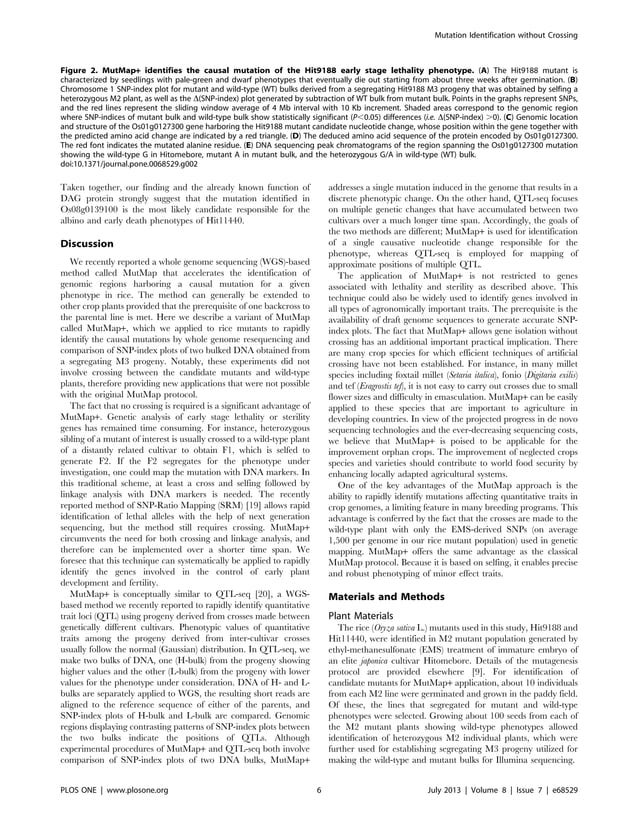 Mut map genetic mapping and mutant identification without crossing ...