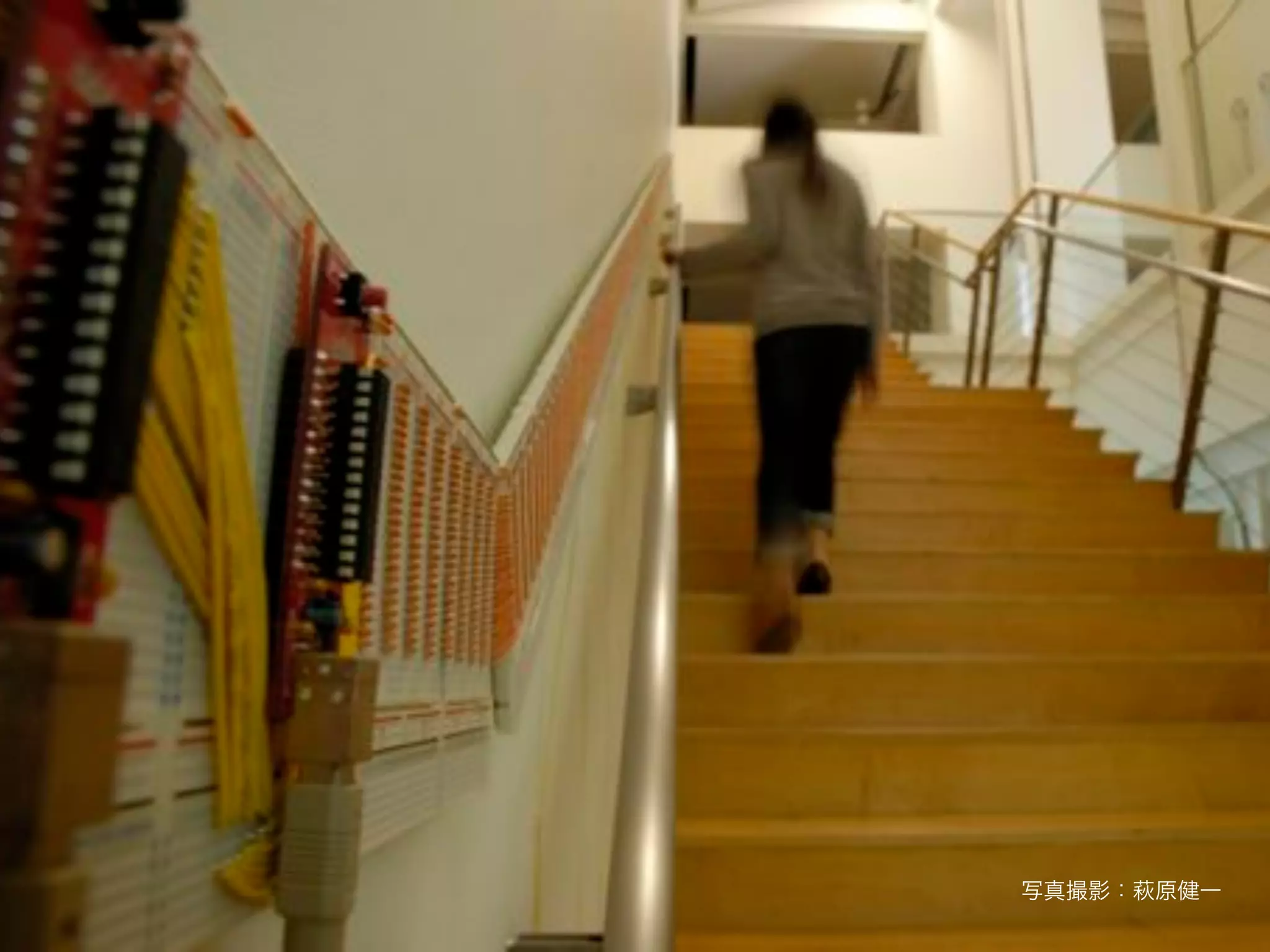 写真撮影：萩原健一
 