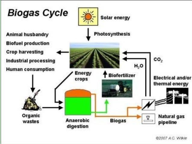 biogas production from waste