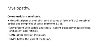 Myelopathy.
Conus medularis syndrome.
• Most distal part of the spinal cord situated at level of L1-L2 vertebral
bodies and comprises of sacral segments S1-S5.
• May present with Saddle anasthesia, Absent Bulbocarvenous reflexes,
and absent anal reflexes.
• LMN- at the level of the lesion.
• UMN- below the level of the lesion.
 