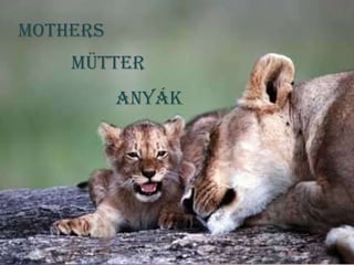 Mothers MÜtter Anyák 