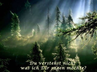 Du verstehst nicht  was ich Dir sagen möchte? 