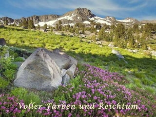 Voller Farben und Reichtum. 