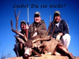 Liebst Du sie nicht? 