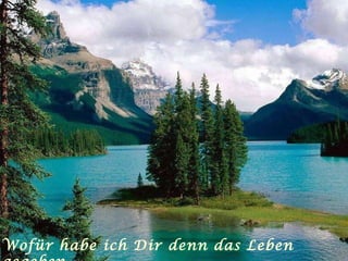 Wofür habe ich Dir denn das Leben gegeben . . . 