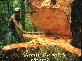 . . .  damit Du mich tötest? 