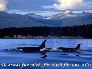 Tu etwas für mich, für Dich für uns Alle! 