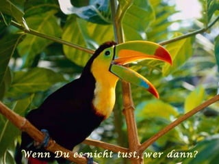 Wenn Du es nicht tust, wer dann? 