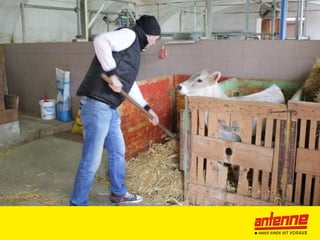 Lokalrundfunktage 2016: Muttertagswochen Antenne Kärnten