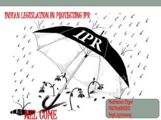 INDIAN LEGISLATION IN PROTECTING IPR
WEL COME
Muttanna Iliger
PGS14AGR6592
Dept.Agronomy
 