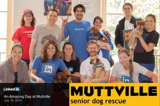 An Amazing Day at Muttville
July 18, 2014
 
