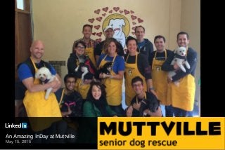 An Amazing InDay at Muttville
May 15, 2015
 