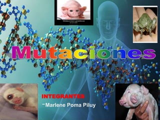 INTEGRANTES
-Marlene Poma Piluy
 