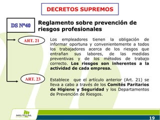 19
Los empleadores tienen la obligación de
informar oportuna y convenientemente a todos
los trabajadores acerca de los riesgos que
entrañan sus labores, de las medidas
preventivas y de los métodos de trabajo
correcto. Los riesgos son inherentes a la
actividad de cada empresa.
Establece que el artículo anterior (Art. 21) se
lleva a cabo a través de los Comités Paritarios
de Higiene y Seguridad y los Departamentos
de Prevención de Riesgos.
Reglamento sobre prevención de
riesgos profesionales
DECRETOS SUPREMOS
ART. 21
ART. 23
 