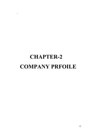 CHAPTER-2
COMPANY PRFOILE
15
 