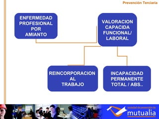 Prevención Terciaria ENFERMEDAD PROFESIONAL POR AMIANTO VALORACION CAPACIDA FUNCIONAL/ LABORAL REINCORPORACION  AL TRABAJO INCAPACIDAD PERMANENTE TOTAL / ABS.. 