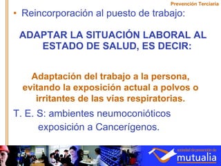 Reincorporación al puesto de trabajo: ADAPTAR LA SITUACIÓN LABORAL AL ESTADO DE SALUD, ES DECIR: T. E. S: ambientes neumoconióticos   exposición a Cancerígenos. Prevención Terciaria Adaptación del trabajo a la persona, evitando la exposición actual a polvos o irritantes de las vías respiratorias. 