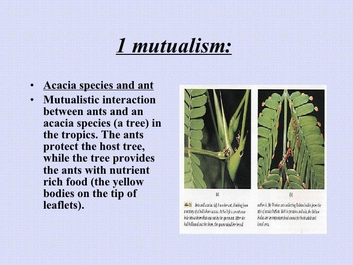 Mutualism Parasitism