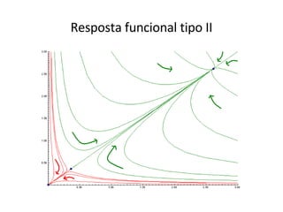 Resposta funcional tipo II 