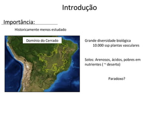 Introdução Historicamente menos estudado Domínio do Cerrado Grande diversidade biológica 10.000 ssp plantas vasculares Solos: Arenosos, ácidos, pobres em nutrientes ( ~ deserto) Paradoxo? Importância: 