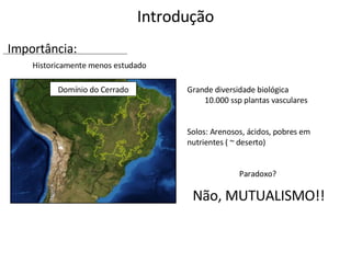 Introdução Historicamente menos estudado Domínio do Cerrado Grande diversidade biológica 10.000 ssp plantas vasculares Solos: Arenosos, ácidos, pobres em nutrientes ( ~ deserto) Paradoxo? Não, MUTUALISMO!! Importância: 