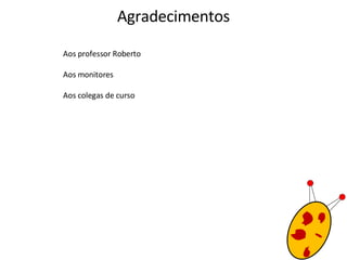 Agradecimentos Aos professor Roberto Aos monitores Aos colegas de curso 